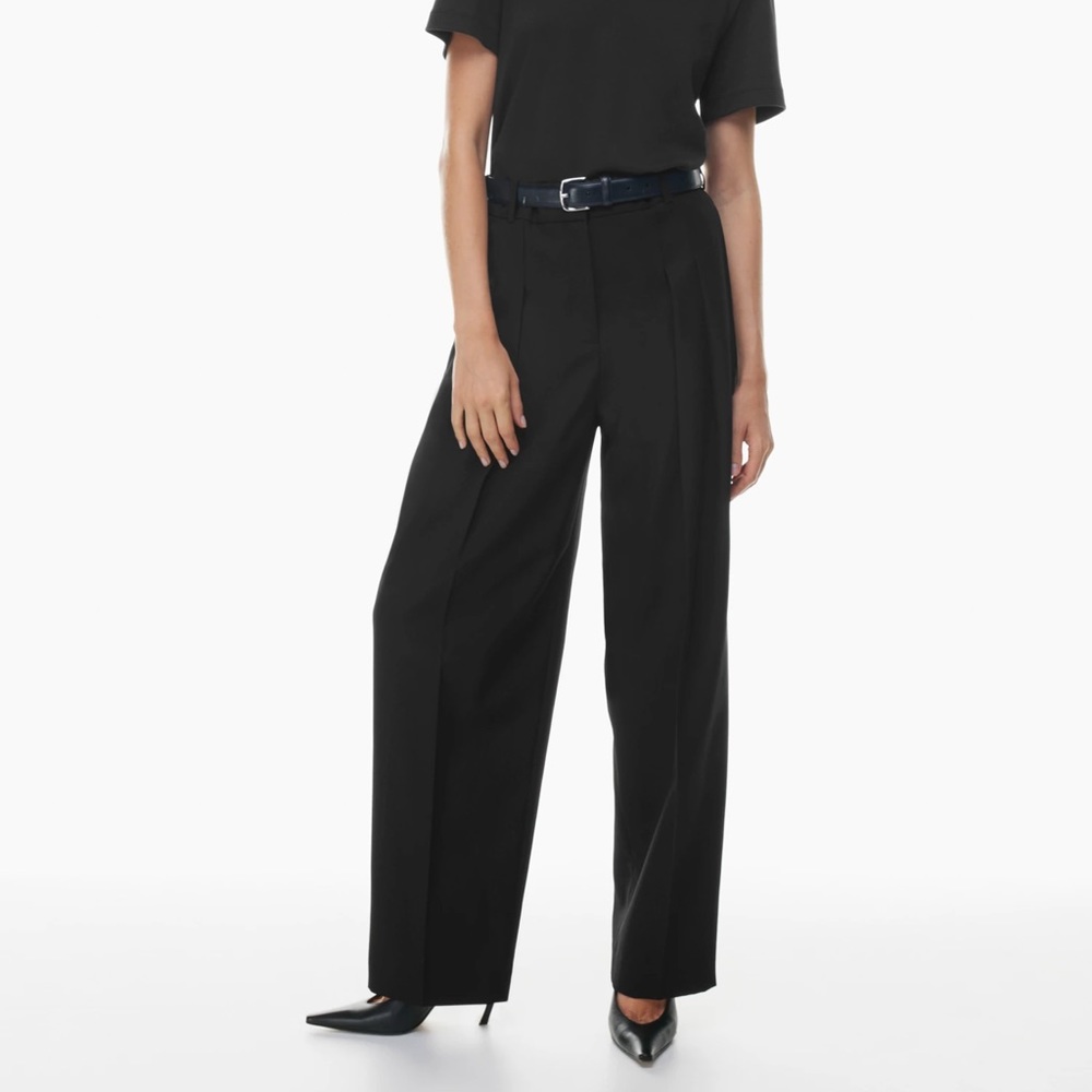 Aritzia Asawa Wool Wide-Leg Pleated Pants